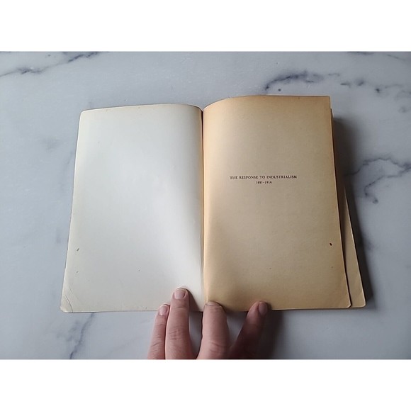 The Response To Industrialism 1885-1914 - Samuel P Hays 1960 Vintage Paperback - Picture 2 of 10